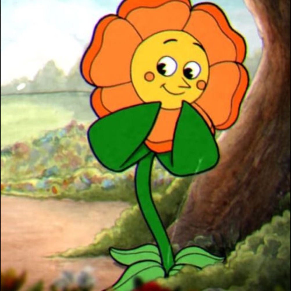 Meet your Posher, Gabriela ✨